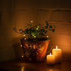 Handpainted Bloom Haven Terracotta Planter