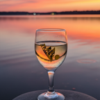 Handpainted Sixfold Reverie – Wine Glass Set (Set of 6)